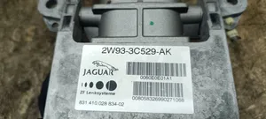 Jaguar XF X250 Colonne de direction 2W933C529AK