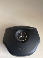 Mercedes-Benz R W251 Vairo oro pagalvė A1644600098