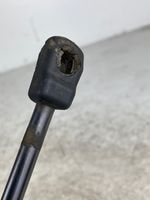 Volkswagen PASSAT CC Ammortizzatore portellone anteriore/cofano 3C8823359