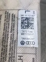 Volkswagen PASSAT B7 Istuimen turvatyyny 3AA880241