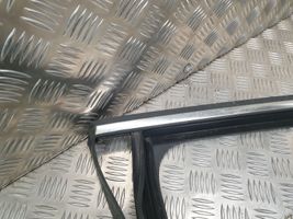 Volkswagen Tiguan Guarnizione in gomma finestrino/vetro portiera posteriore 5N0839431H