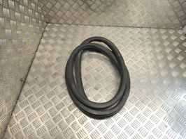 Citroen C4 II Picasso Rear door rubber seal (on body) 9676259080