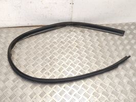 Dacia Sandero Rubber seal front door (on door) 