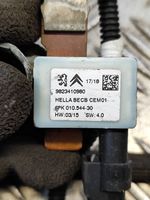 Peugeot 208 Câble négatif masse batterie 9823410980
