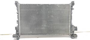 Renault Trafic III (X82) Radiateur de refroidissement 214103569R