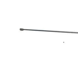 Dacia Duster Antenne radio 