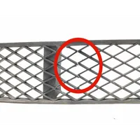 BMW 7 F01 F02 F03 F04 Grille inférieure de pare-chocs avant 727584