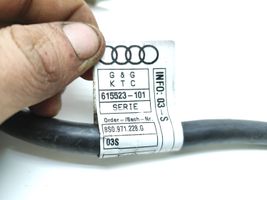 Audi TT TTS RS Mk3 8S Câble négatif masse batterie 8S0971228G