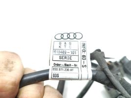 Audi TT TTS RS Mk3 8S Autres faisceaux de câbles 8S0971230AF