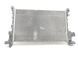 Renault Trafic III (X82) Coolant radiator 214103569R