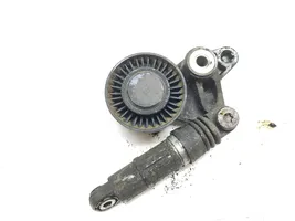 Audi Q7 4L Tendicinghia generatore/alternatore 059145201F