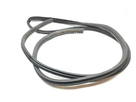 Renault Trafic III (X82) Front door rubber seal 