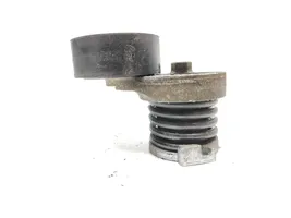 Renault Megane IV Napinacz paska alternatora 1005010113