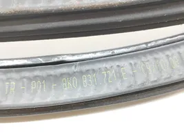 Audi A4 S4 B8 8K Front door rubber seal 8K0831721E