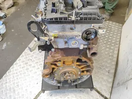 Ford Ranger Moteur PGB44852