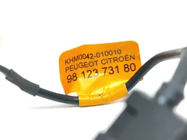 Citroen C3 Microphone (Bluetooth / téléphone) 9812373180