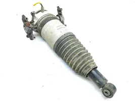 Volkswagen Touareg II Ammortizzatore/sospensione pneumatica 7PS616020J