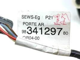 Peugeot 208 Rear door wiring loom 9834129780