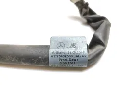 Mercedes-Benz A W177 Minus / Klema / Przewód akumulatora A1775402500