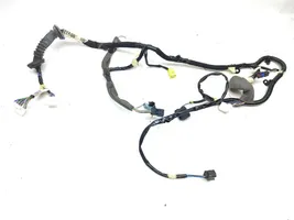 Renault Kadjar Cableado de puerta delantera 241257114R