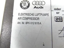 Audi A3 S3 8P Rengaspainekompressori 