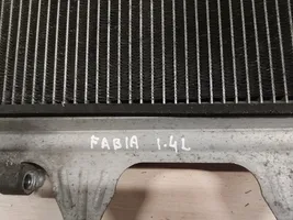 Skoda Fabia Mk2 (5J) Radiateur condenseur de climatisation 6Q0820411K