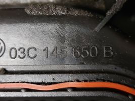 Volkswagen Tiguan Rezonator / Dolot powietrza 03C103502K