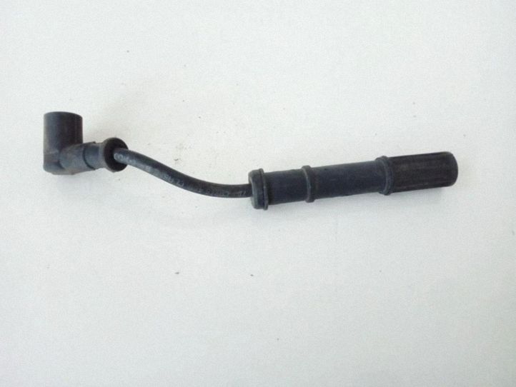 Ignition plug leads