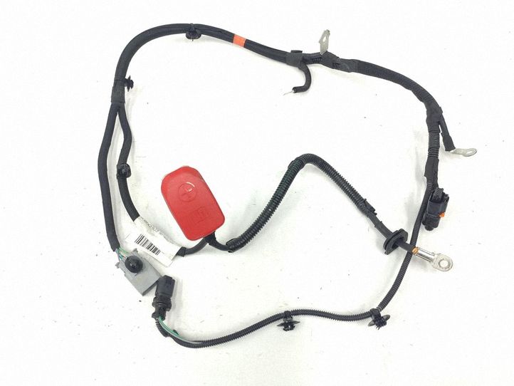 Wiring harness