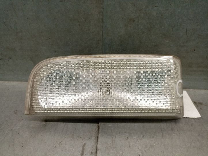 Reverse light