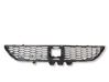 Atrapa chłodnicy / Grill 622543243R