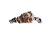Rear differential 1428164