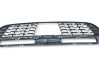 Front grill 5113