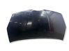 Engine bonnet/hood 