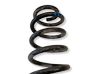 Front coil spring 