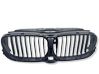 Atrapa chłodnicy / Grill 5113187156