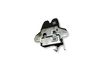 Tailgate/trunk/boot lock/catch/latch 