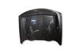 Tailgate/trunk/boot lid 972020001R