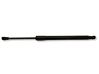 Tailgate/trunk strut/damper 51247129194
