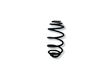 Rear coil spring 