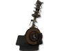 Front shock absorber with coil spring 54302HV01AACR