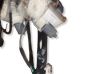 Front door window regulator with motor 