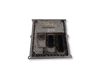 Engine control unit/module 0003107V006