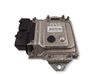Engine control unit/module 3391069L00