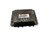 Engine control unit/module 047906027