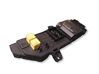 Fuse module 24443147