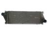 Intercooler radiator 2D014580