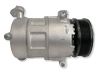 Air conditioning (A/C) compressor (pump) DV6119D629FD
