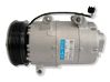 Air conditioning (A/C) compressor (pump) 1405865