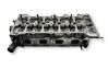 Engine head 55571949